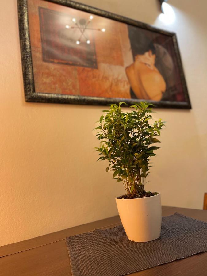 Romeo Apartment Livorno Exterior photo